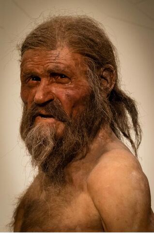 File:Otzi the iceman.jpg