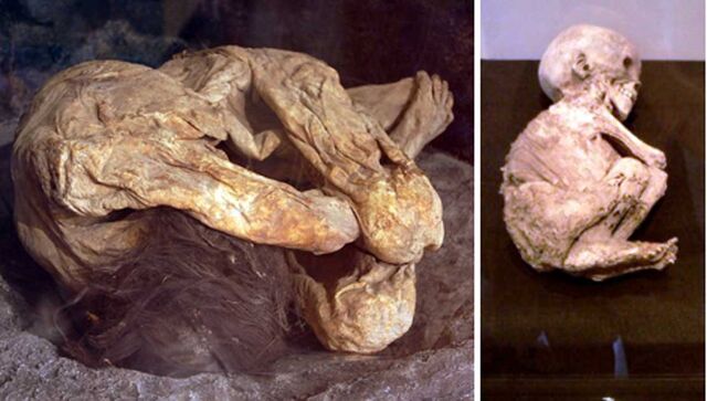 File:Lemon-Grove-Mummies.jpg
