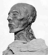 Seti1 1