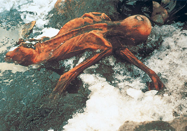 File:Oetzi dieentdeckung.jpg