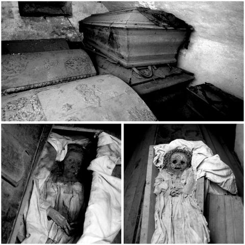 File:OC Mummies.jpeg