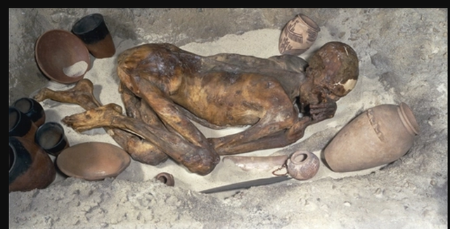 File:Mummy2.png