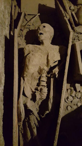 File:Crusader.jpg
