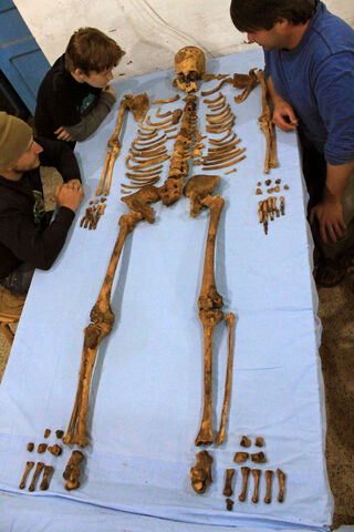 File:Senebkays-skeleton.jpg