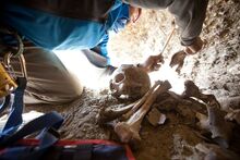 Himalayan-cave-culture-bones 01