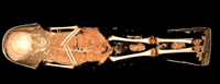 Sc5oEDN fig3