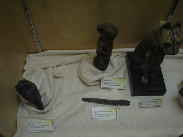 File:Test Image 1.jpg