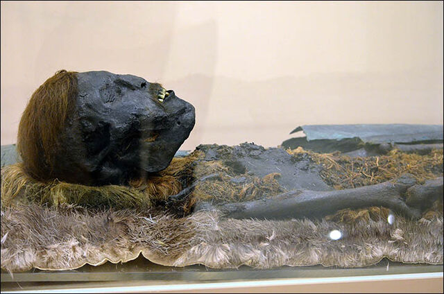 File:Inside side view of the mummy.jpg
