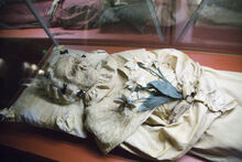 Mummy-of-Terézia-Hausmann