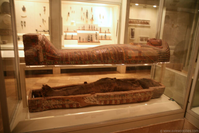 File:Kveca0584s.jpg