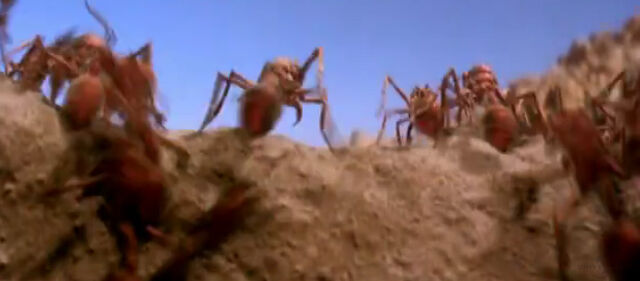 File:Antsy.jpg
