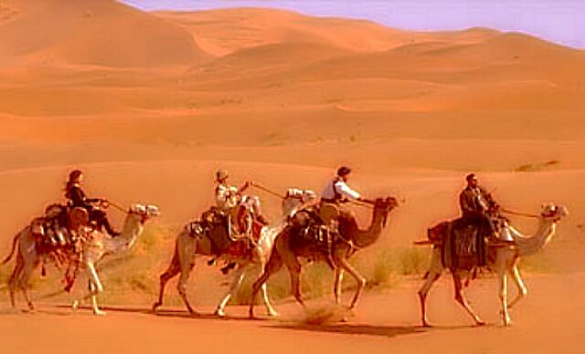 File:Xalbackground1223.jpg