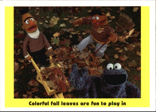 File:1992 sesame trading cards 47.jpg