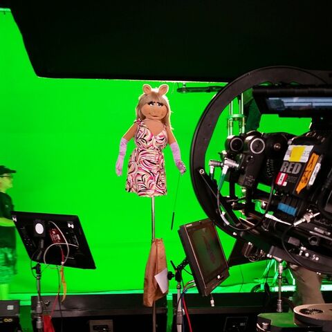 File:Piggy-GreenScreen.jpg
