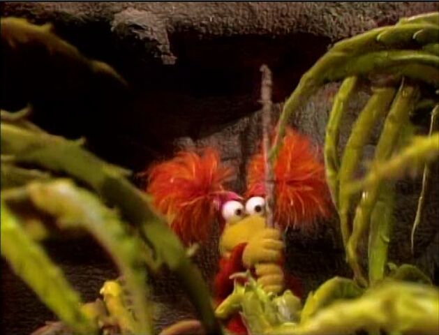 File:Clinging Creepers.jpg