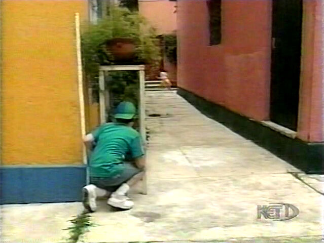 File:PS-HideAndSeek.jpg