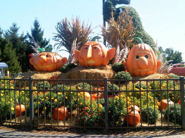 File:Spooktacular 5.jpg