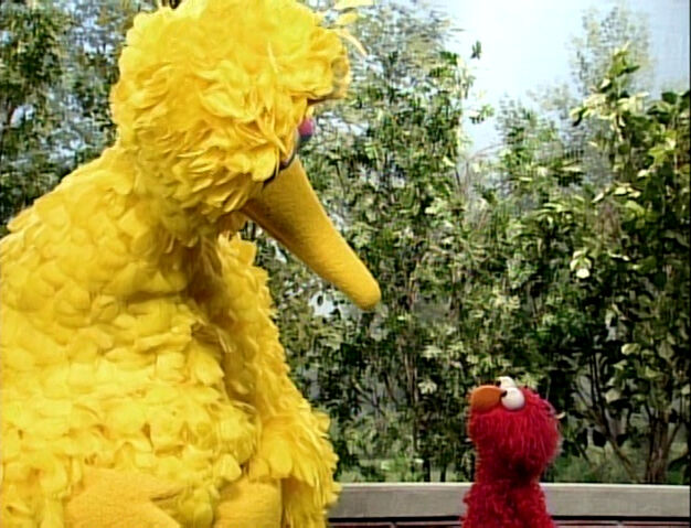 File:ElmoBigBird.sad.jpg