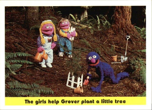 File:1992 sesame trading cards 45.jpg