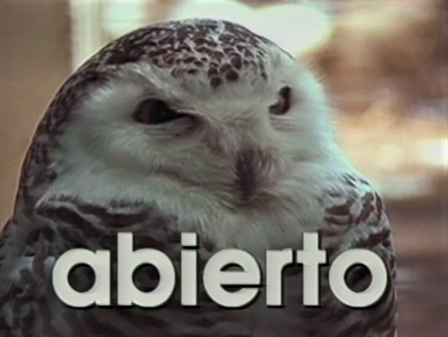 File:33-Abierto, cerrado.png