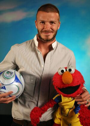 BeckhamChin