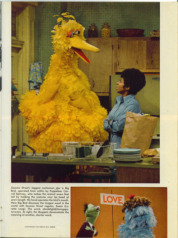 File:TIMESesameStreetMagazine(11-23-1970).jpg