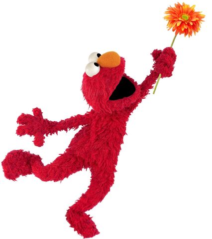 File:Elmo flower.jpg