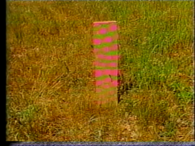 File:Vlcsnap-2016-05-23-09h03m55s164.png