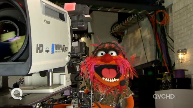 File:Qvc animal camera.jpg
