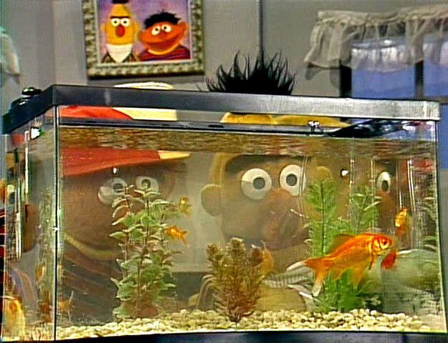File:Erniebert-goldfish.jpg