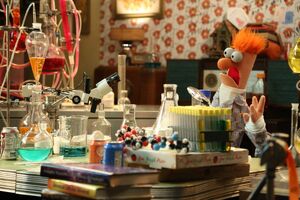TheMuppets-FlowersOnTheWall