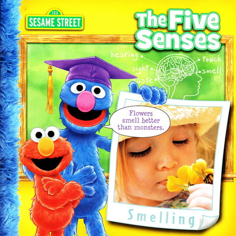 File:Fivesenses.jpg
