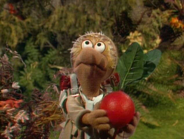 File:Matt radish.jpg