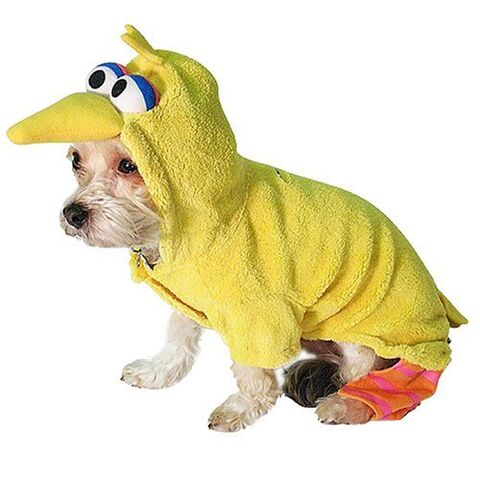 File:NewYorkDog.BigBird.jpg