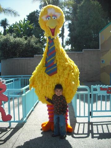 File:Biggiiebidie.jpg