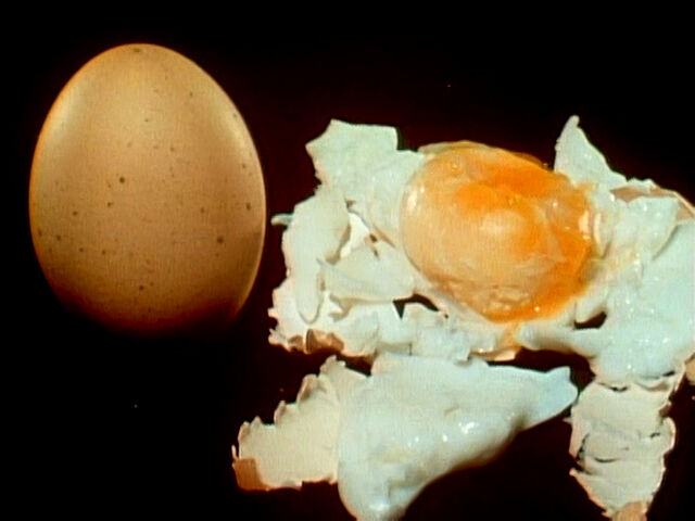 File:1454-Eggs.jpg