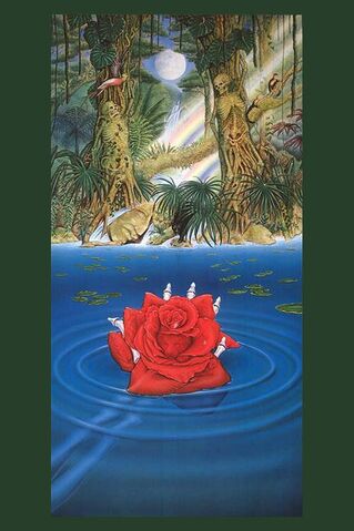 File:Rainforestbenefitposter.jpg