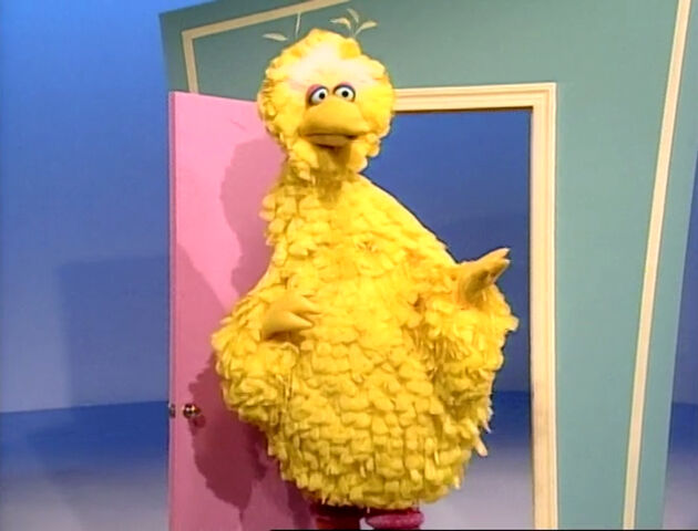 File:BigBirdDoor.jpg