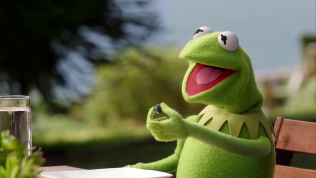 File:TheMuppets-S01E07-BlueberryKermit.png