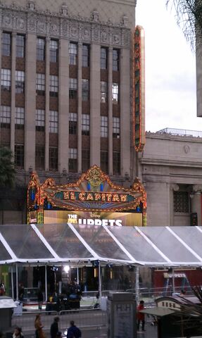 File:TheMuppets-WorldPremiere-ElCapitan-(2011-11-12)-11.jpg