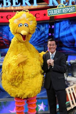 File:Colbert-BigBird.jpg
