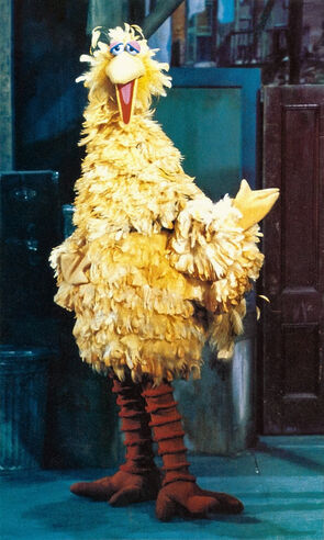 File:Bigbird1969.jpg