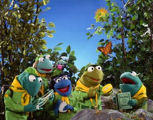 Frog Scouts promo photo