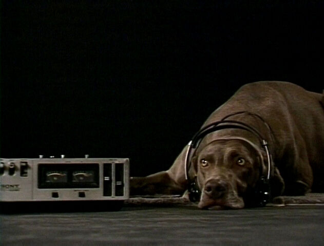 File:FayRay.Headphones.jpg
