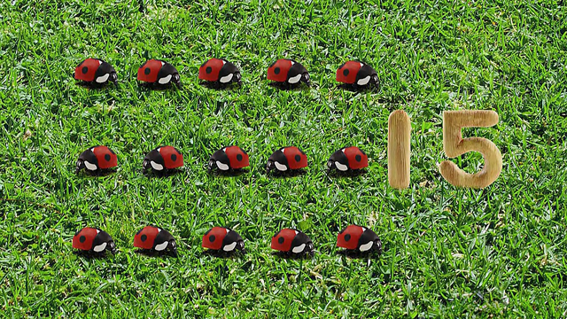 File:15-Ladybugs.png