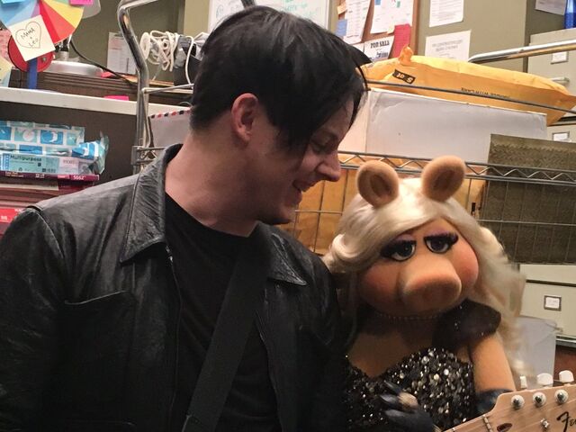 File:Jack-White-Piggy.jpg