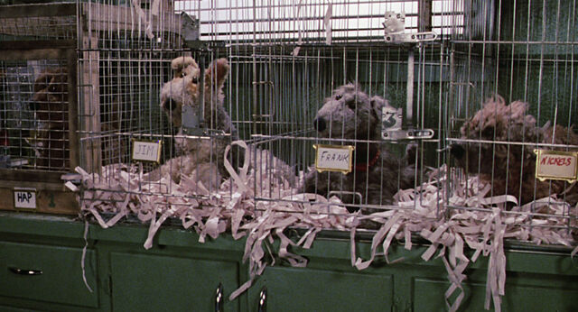 File:MTM dogs 01.jpg