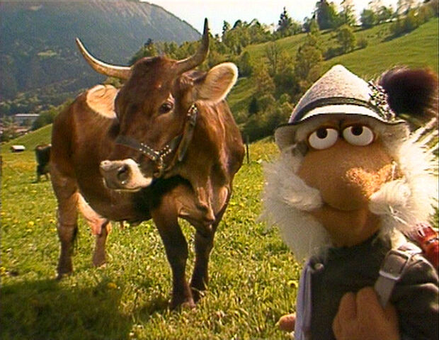 File:Matt cow.jpg