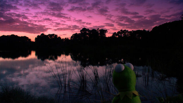 File:KSY-NightSwamp.jpg