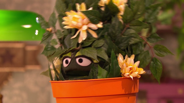 File:Evergroan.png